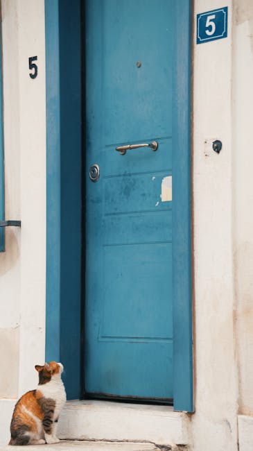 Blue door with number 5 and cat